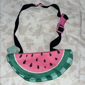 Watermelon Fanny pack